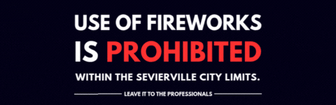 Firework Banner 1