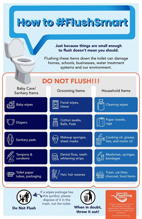How to Flush Smart