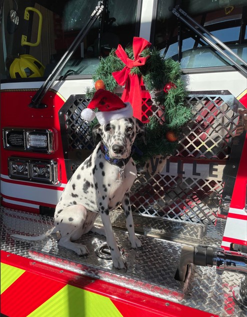 SFD’s Ember offers winter safety tips